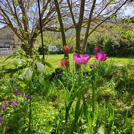 Le Pigeonnier Millau